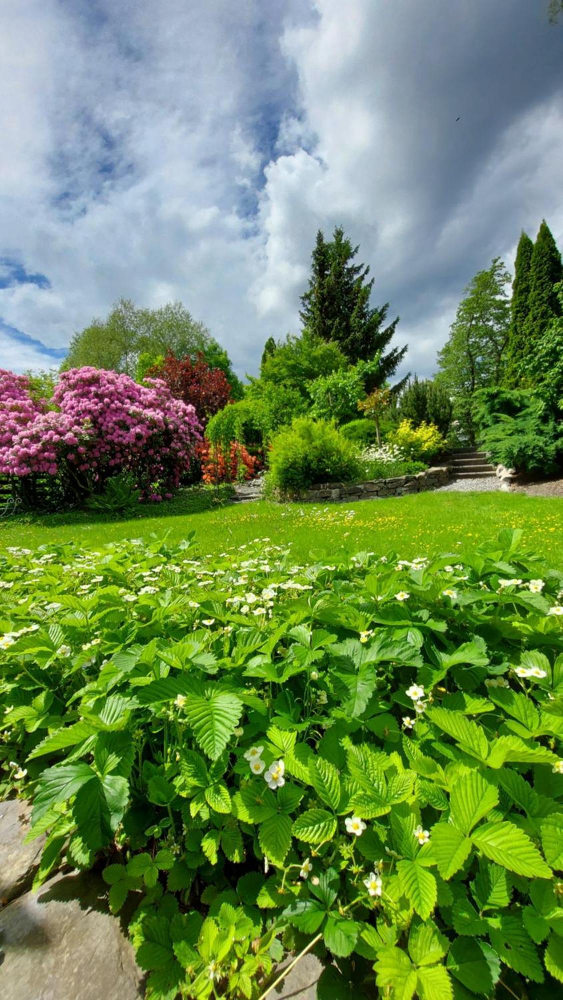 Maries Bunte Villa Bad Berleburg Exteriér fotografie